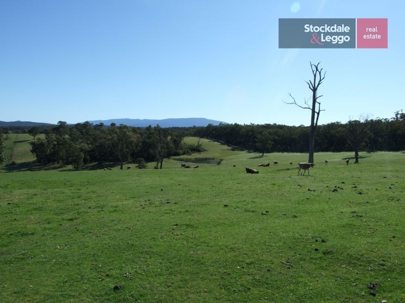 1151 Moe Rawson Road THALLOO, Tanjil South VIC 3825