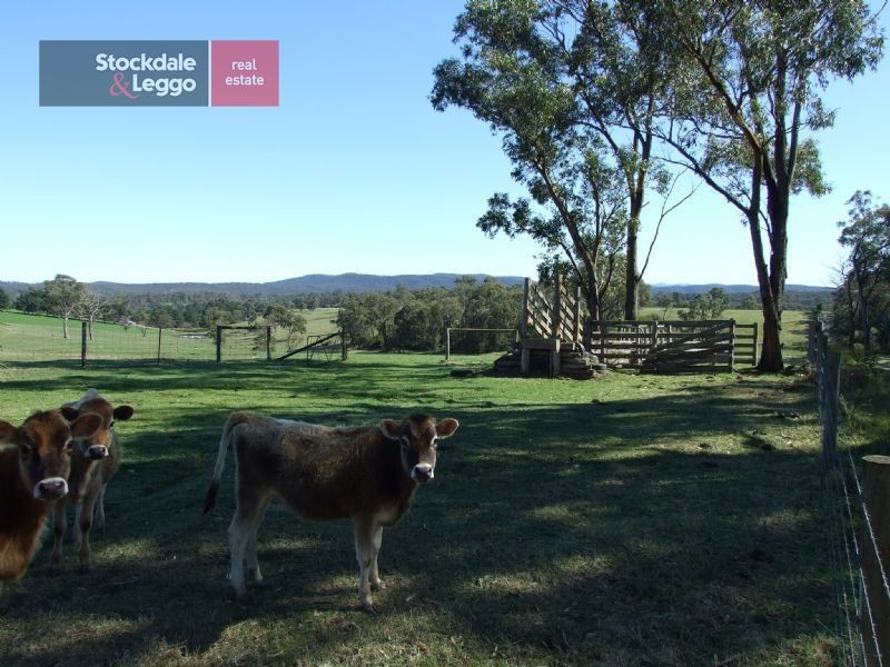 1151 Moe Rawson Road THALLOO, Tanjil South VIC 3825