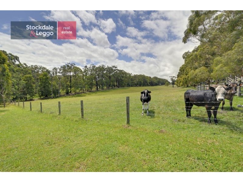 75 Two Mile Road, Newborough VIC 3825