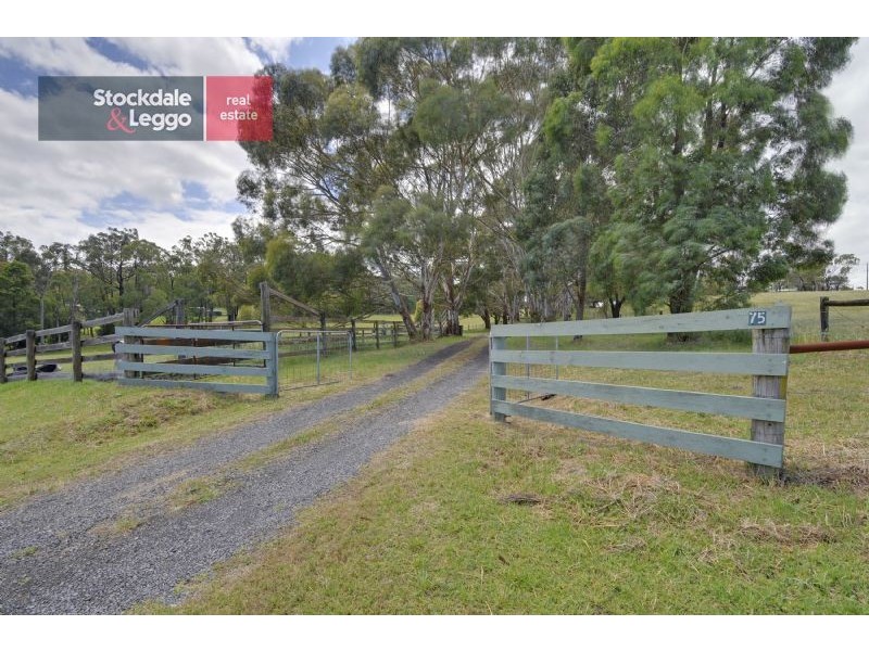 75 Two Mile Road, Newborough VIC 3825
