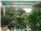 91 McGraths Track, Hernes Oak VIC 3825
