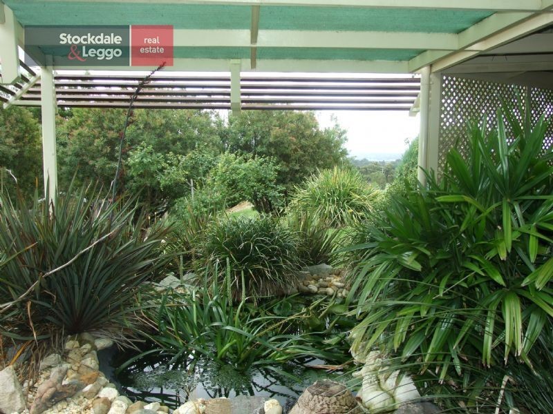 91 McGraths Track, Hernes Oak VIC 3825
