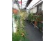 2 Outlook Way, Hernes Oak VIC 3825