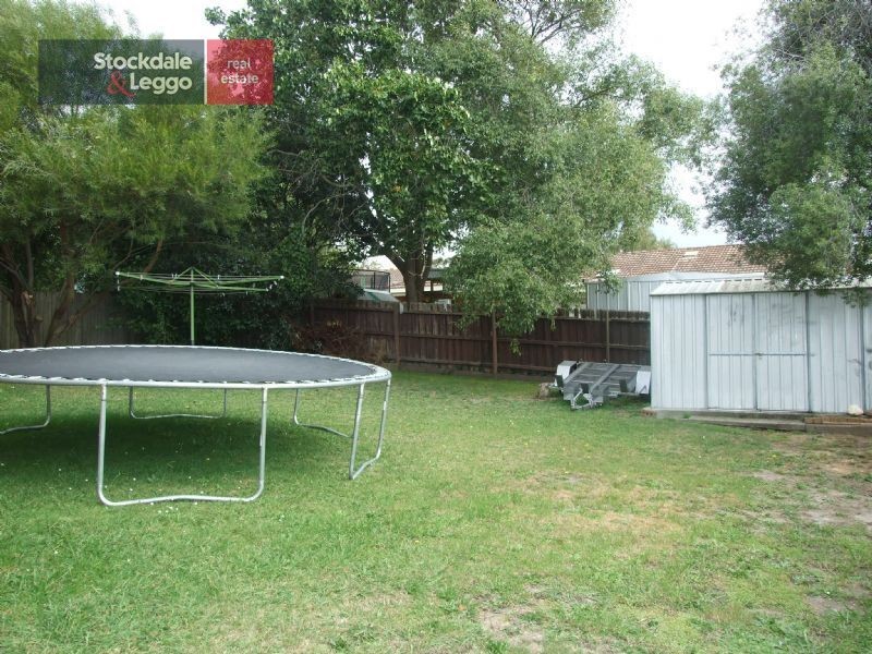 11 Libra Crescent, Moe VIC 3825
