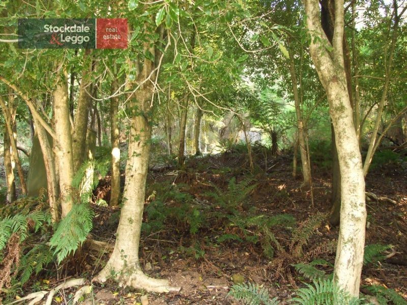 119A & 119B Main Road, Walhalla VIC 3825