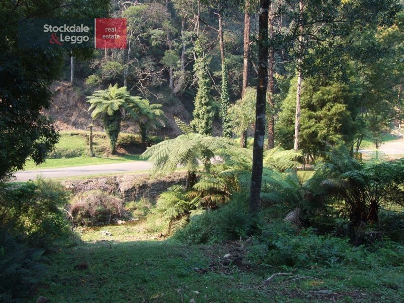 119A & 119B Main Road, Walhalla VIC 3825