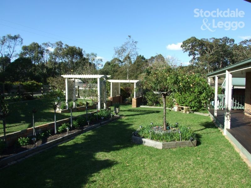 113 Donelan Drive, Hernes Oak VIC 3825