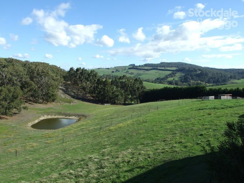 113 Donelan Drive, Hernes Oak VIC 3825
