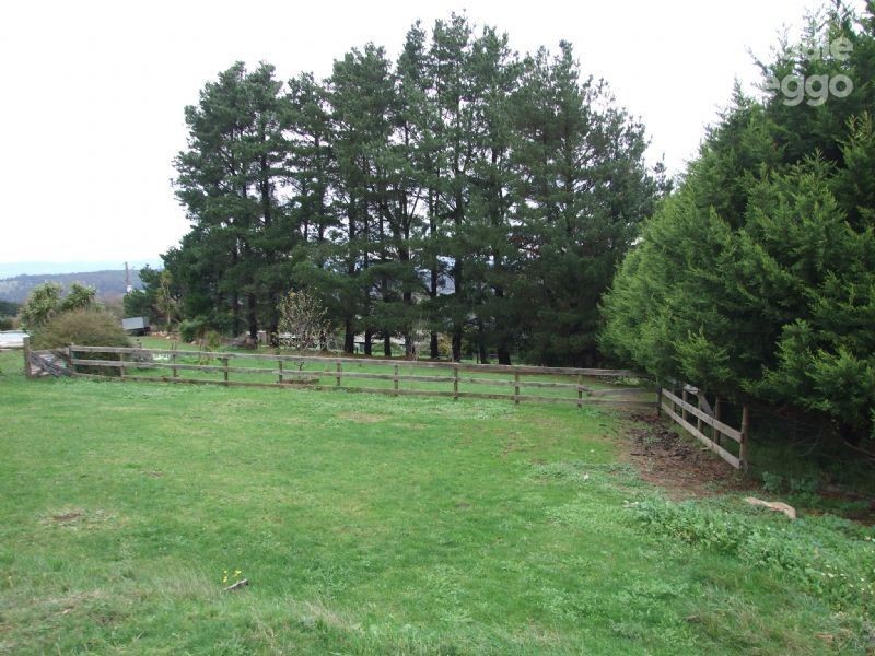 455 Moe South Road, Moe South VIC 3825