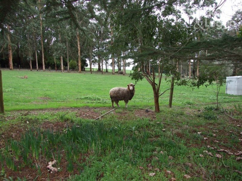 455 Moe South Road, Moe South VIC 3825