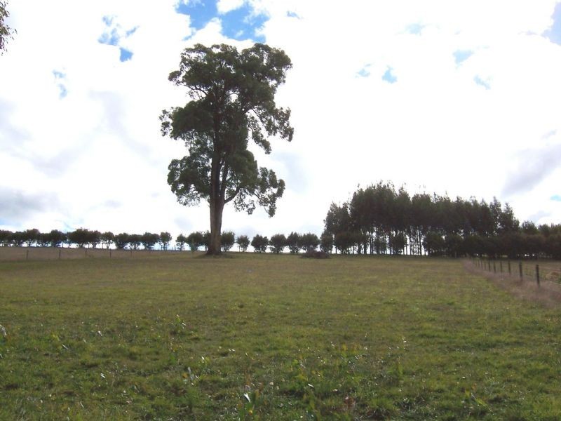 Lot 4,     Wells Road, Mirboo North VIC 3871