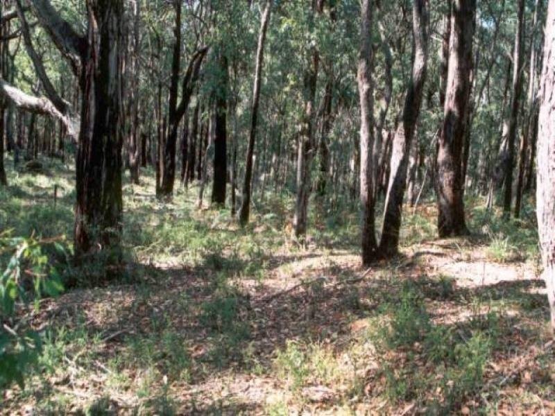 Lot 20 Pincini Court, Boolarra VIC 3870