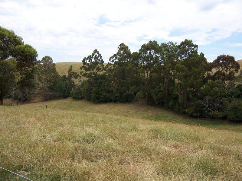 1.25 acres Treases Outlet Road, Dumbalk VIC 3956