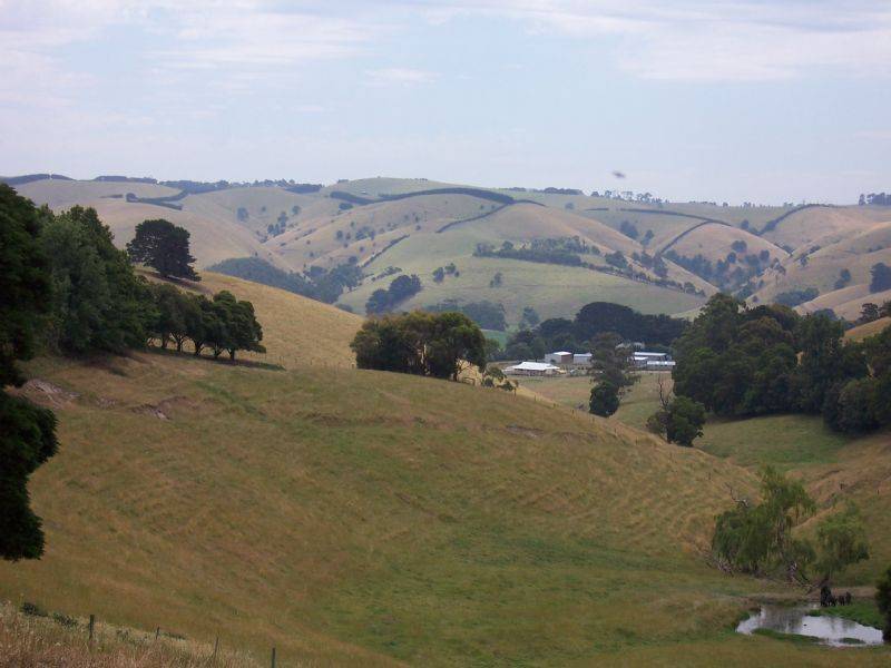 1.25 acres Treases Outlet Road, Dumbalk VIC 3956