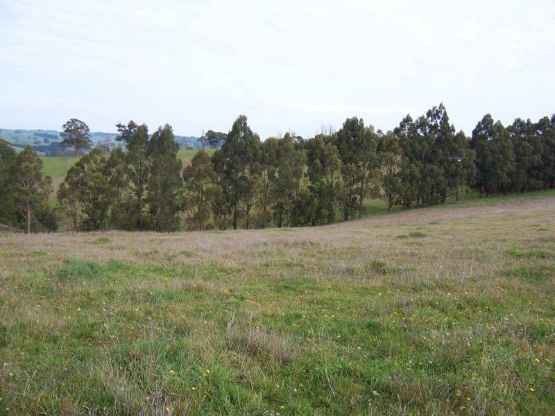 Mirboo North VIC 3871