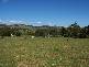 3  Acres – Cnr Hirsts & Darlimurla Roads, Boolarra VIC 3870