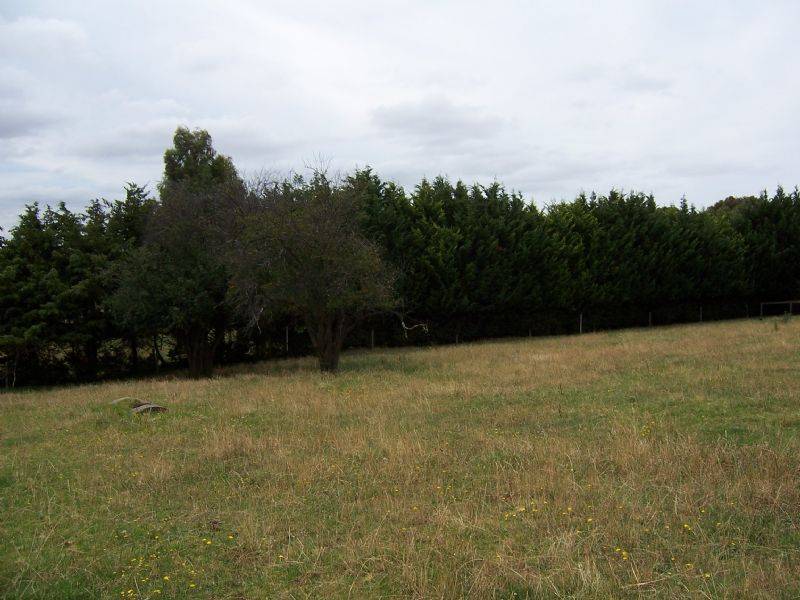 16 Farmers Road, Dumbalk VIC 3956