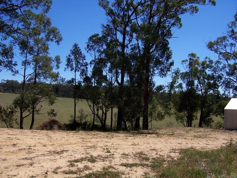 19 Balook Street, Mirboo North VIC 3871