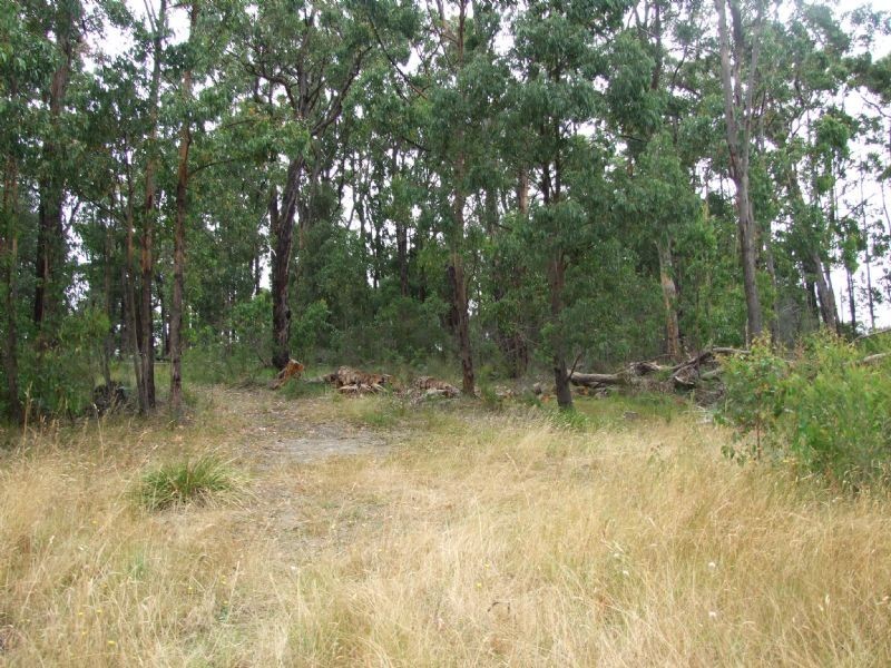 17 Balook Street, Mirboo North VIC 3871