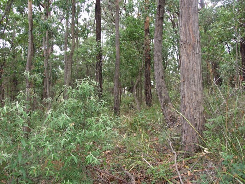 17 Balook Street, Mirboo North VIC 3871