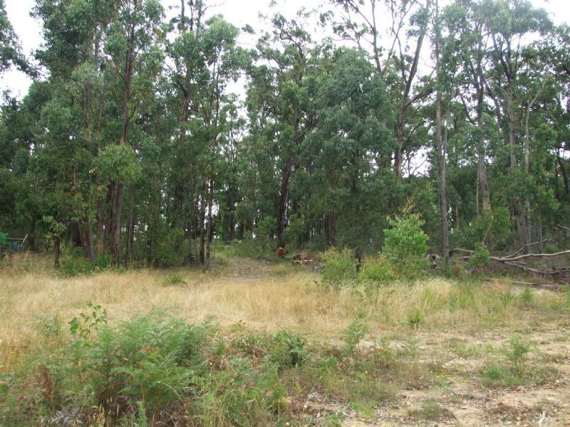 17 Balook Street, Mirboo North VIC 3871