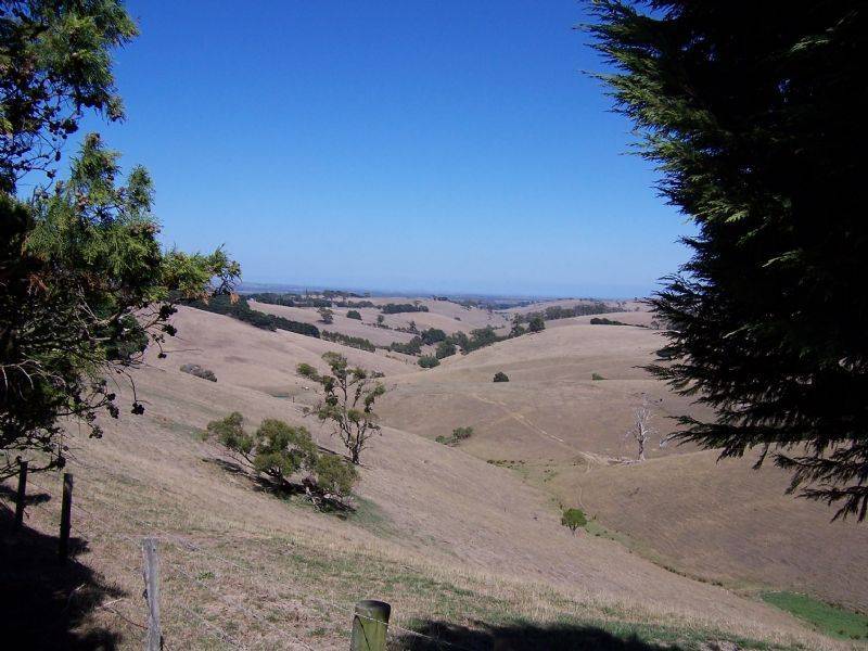 1300 Mardan Road, , Mardan VIC 3953