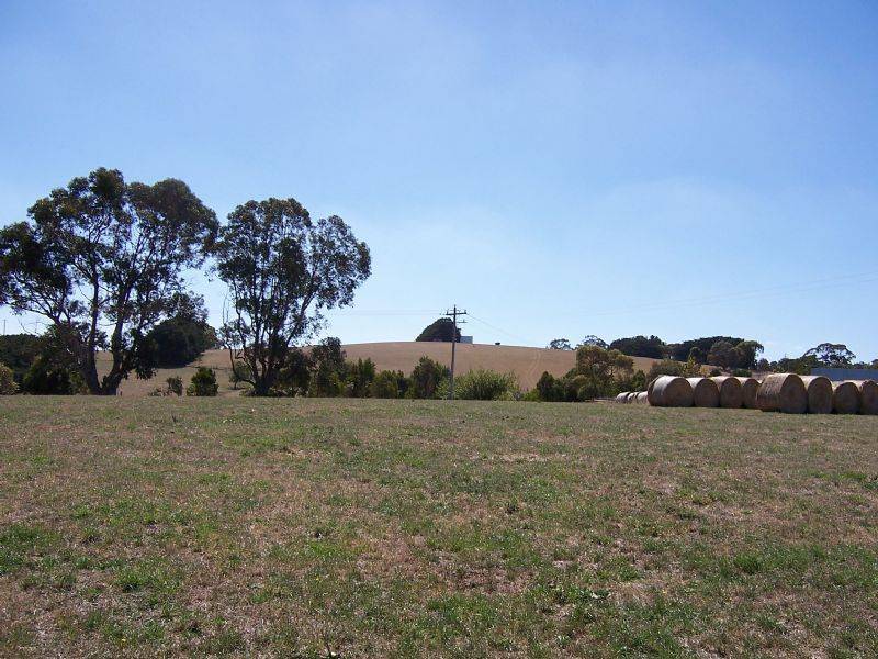 1300 Mardan Road, , Mardan VIC 3953