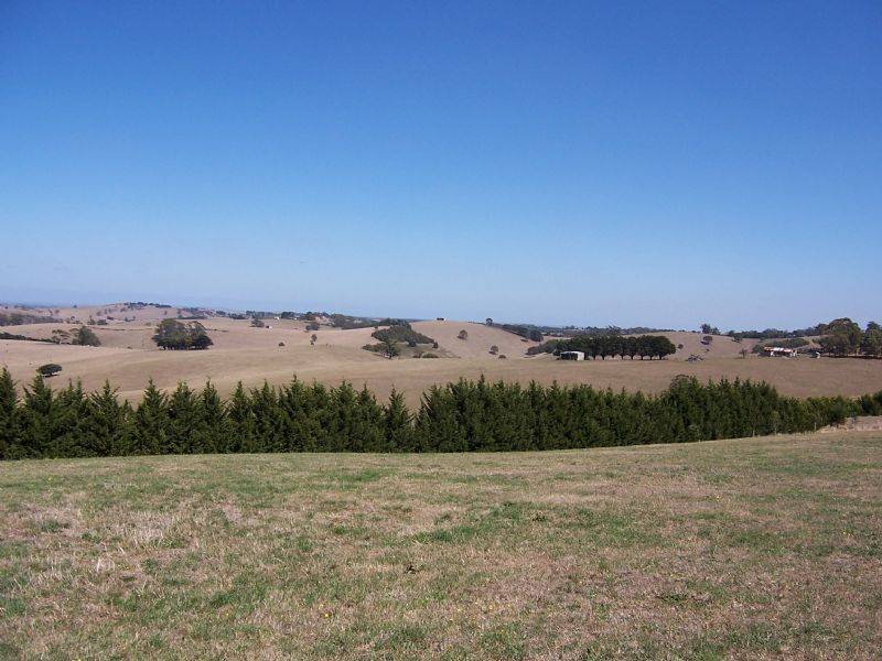 1300 Mardan Road, , Mardan VIC 3953