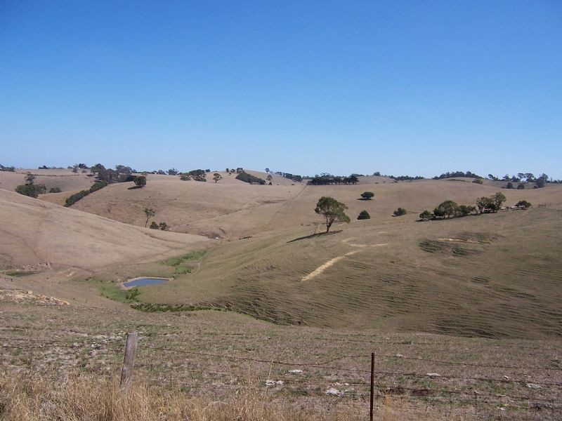 1300 Mardan Road, , Mardan VIC 3953