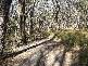 Lot 10 Bunderra Drive, Boolarra VIC 3870