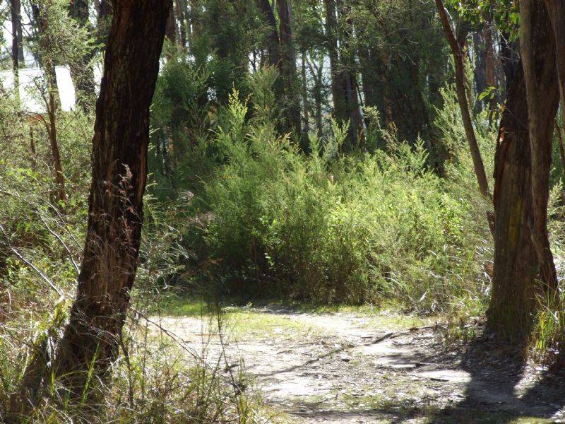 Lot 10 Bunderra Drive, Boolarra VIC 3870