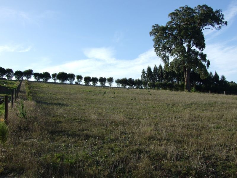 Lot Lot 3,  , 8-10 Wells Road, Mirboo North VIC 3871