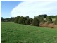 Lot 1 Munros Road, Mirboo North VIC 3871
