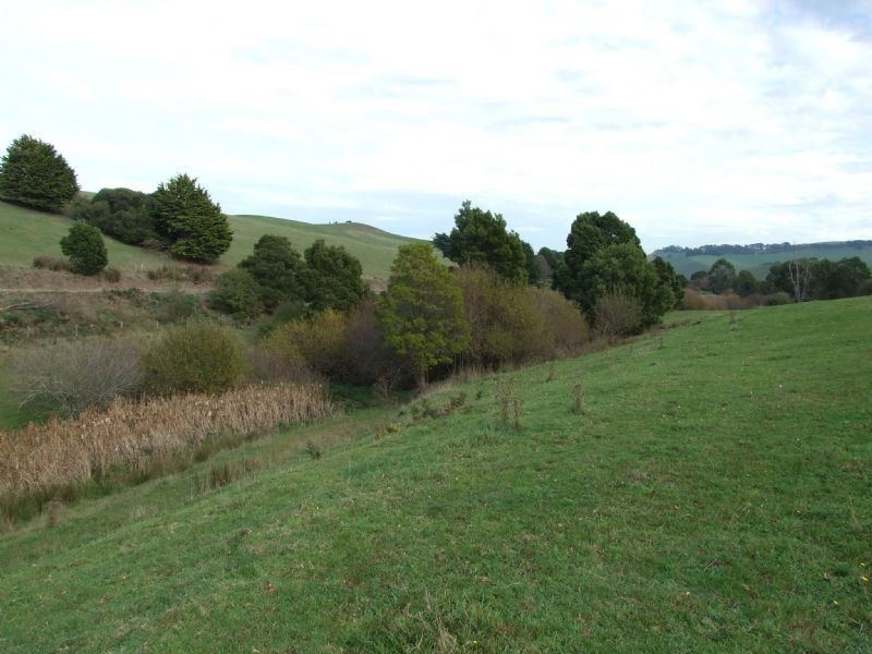 Lot 2 Munros Road, Mirboo North VIC 3871