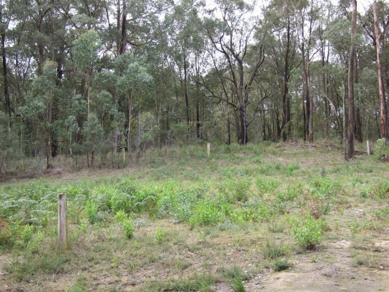 31 Golf Links Road, Mirboo North VIC 3871