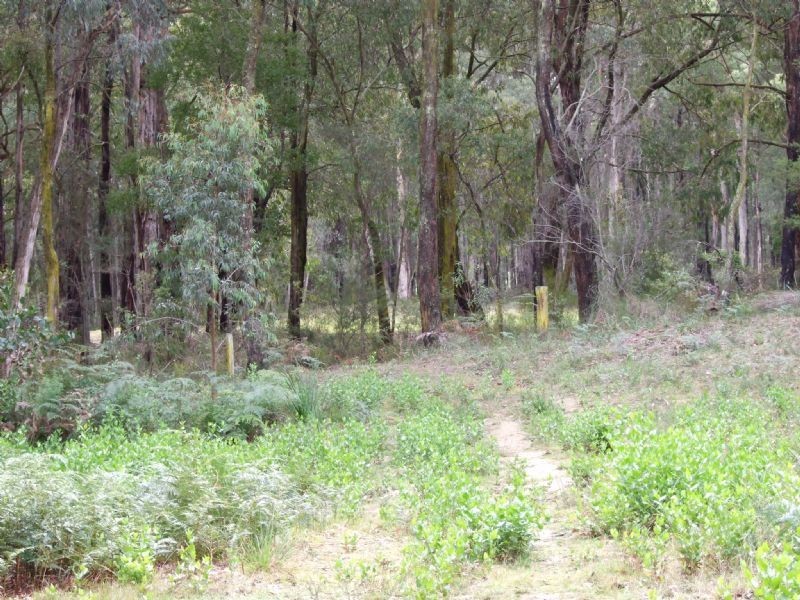 31 Golf Links Road, Mirboo North VIC 3871