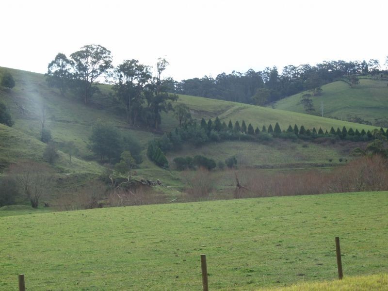 59 Limonite Road, Boolarra VIC 3870