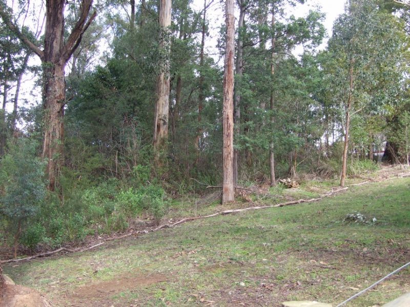 7 Railway Road, Mirboo North VIC 3871