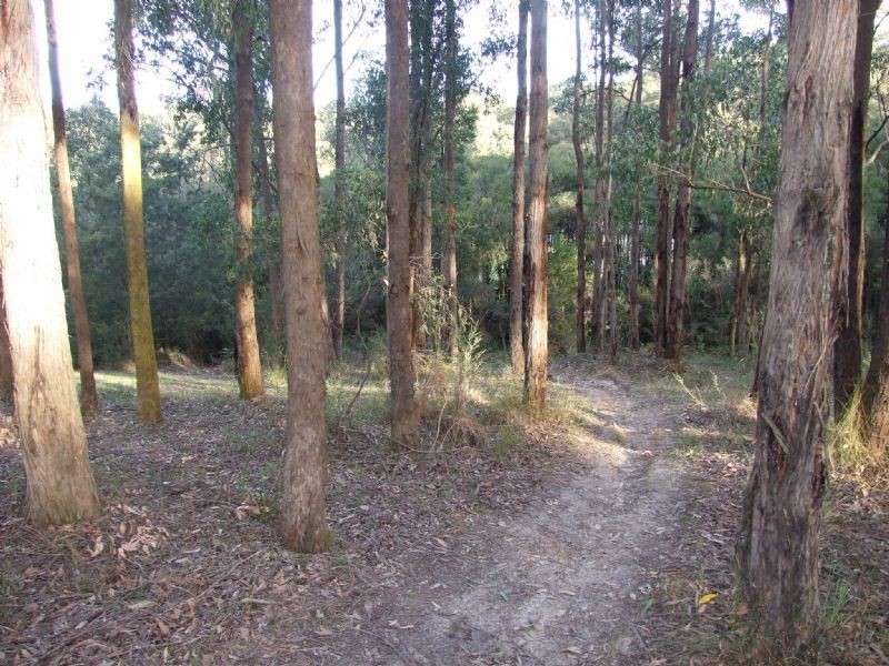 13 Wells Road, Mirboo North VIC 3871