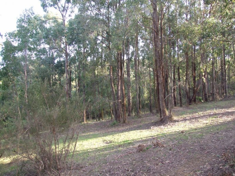 13 Wells Road, Mirboo North VIC 3871