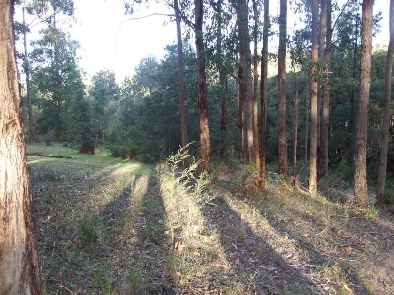 13 Wells Road, Mirboo North VIC 3871