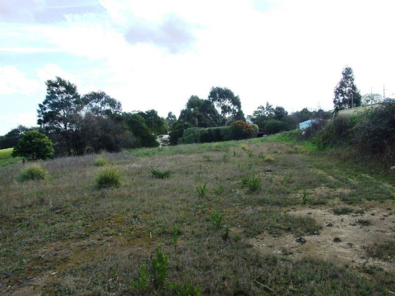 45 Giles Street, Mirboo North VIC 3871