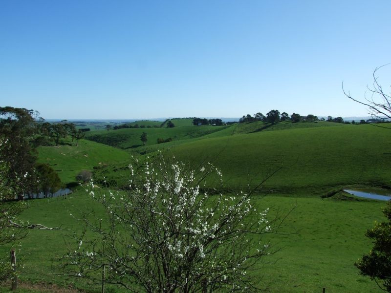 233 Holmes Road, Berrys Creek VIC 3953