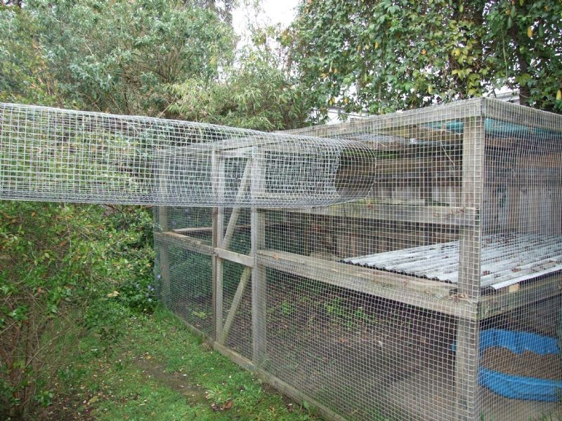 16 Giles Street, Mirboo North VIC 3871
