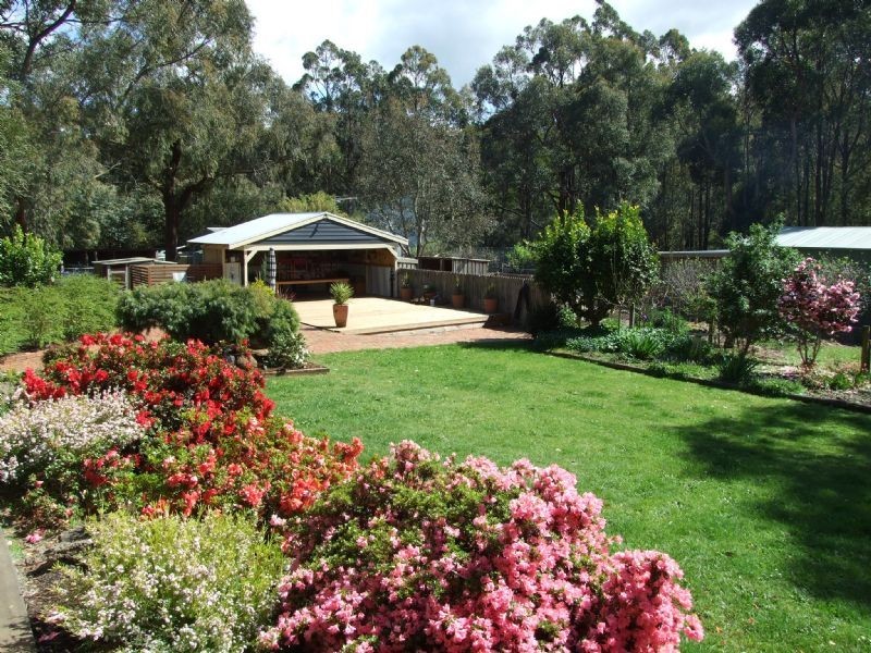 Mirboo North VIC 3871