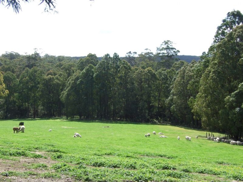 Mirboo North VIC 3871