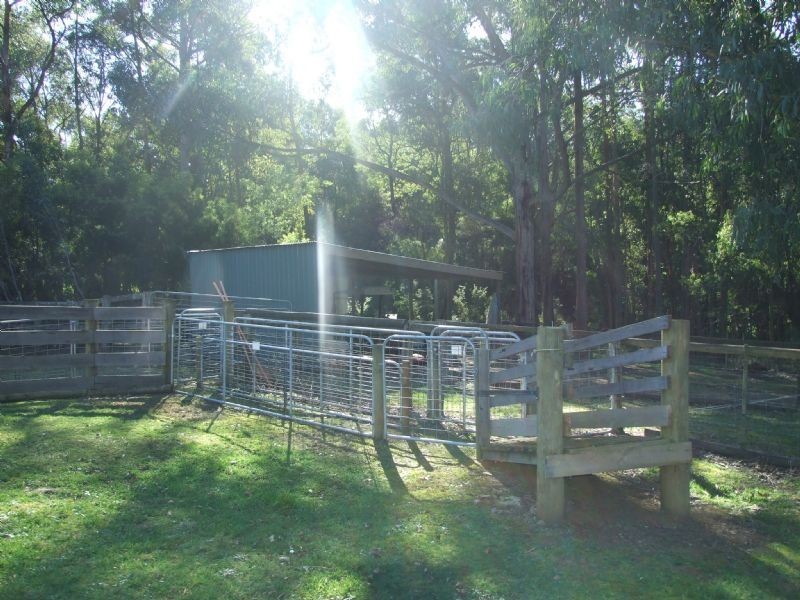 Mirboo North VIC 3871