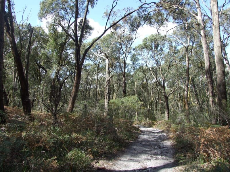 Mirboo North VIC 3871