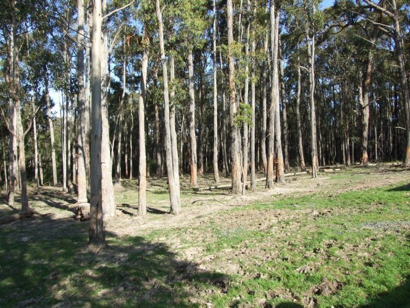 150 Todds Road, Boolarra VIC 3870