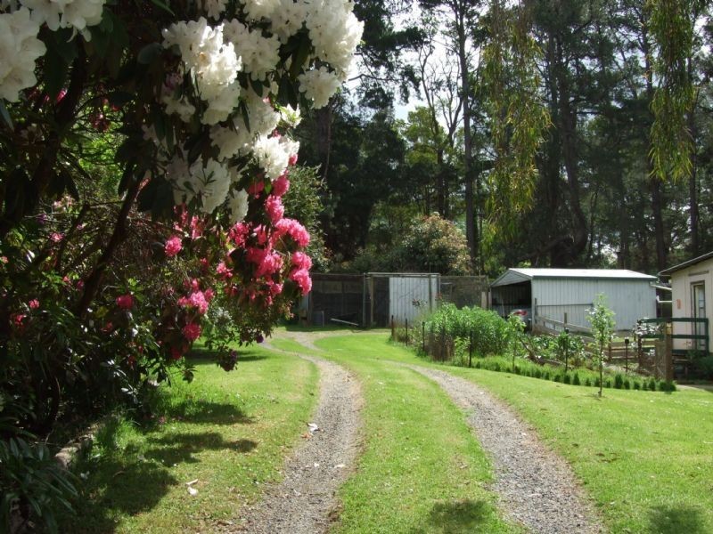 360 Mirboo South Road, Mirboo VIC 3871